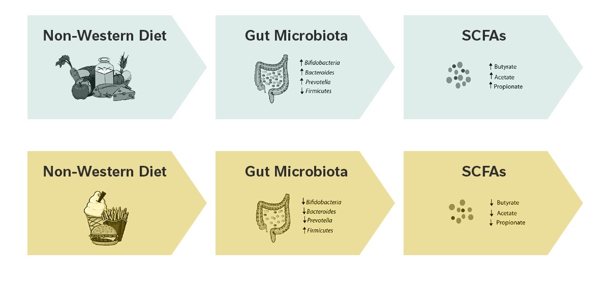 Johnson et al. 2019, Cell Host Microb