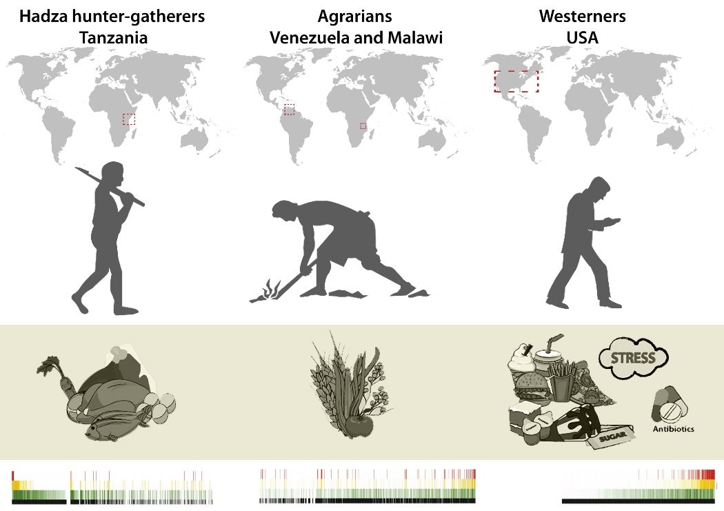 Schnorr et al. 2014 Nat Comm