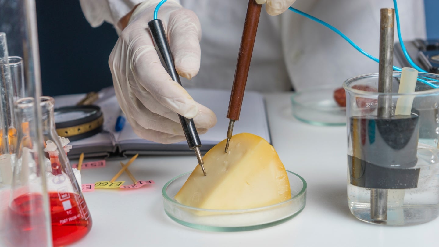 EinStück Bergkäse im Labor Ein Stück Bergkäse wird im Labor untersucht.
