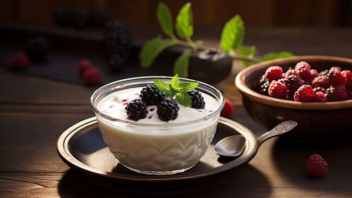 Ziegenmilchjogurt mit Brombeeren Ein kleine Schale mit Ziegenmilchjogurt, dekoriert mit Brombeeren