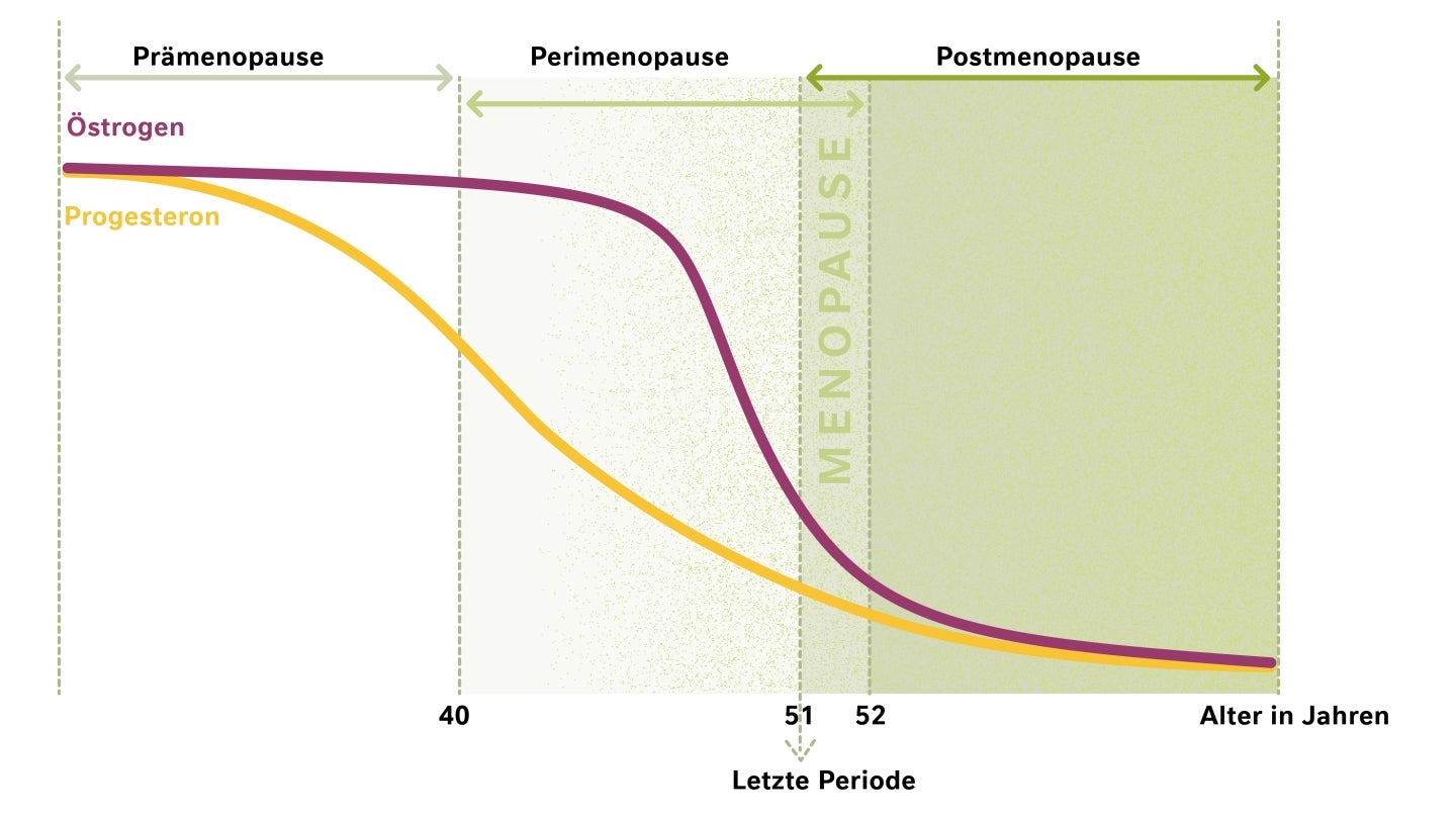 Menopause Schaubild
