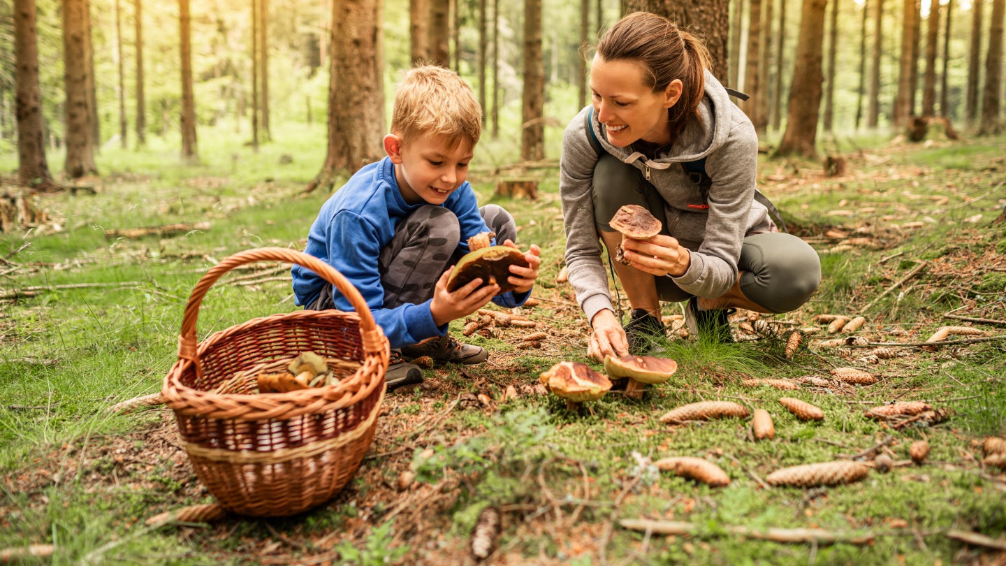 Bild AdobeStock 1079229246