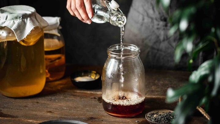 Kombucha Tee