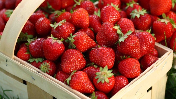 Erdbeeren