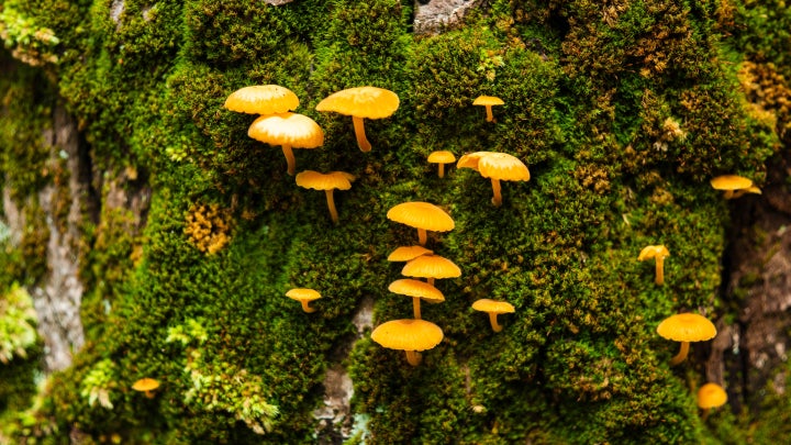 Bild AdobeStock 1540189150