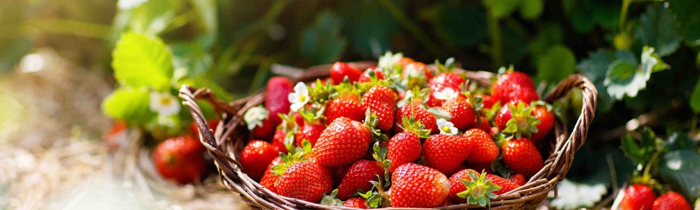 Erdbeeren im Korb