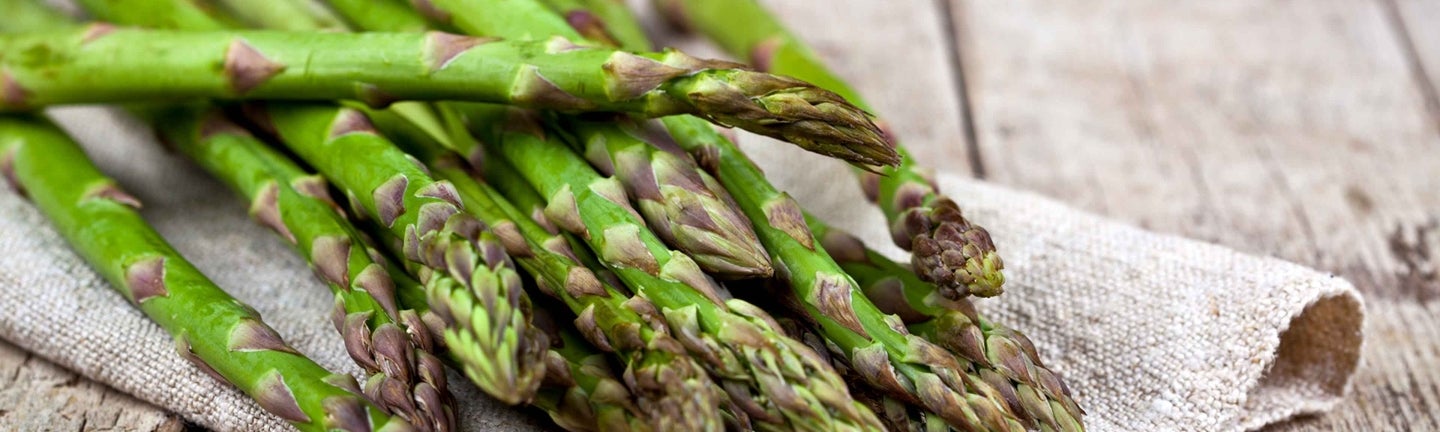Spargel
