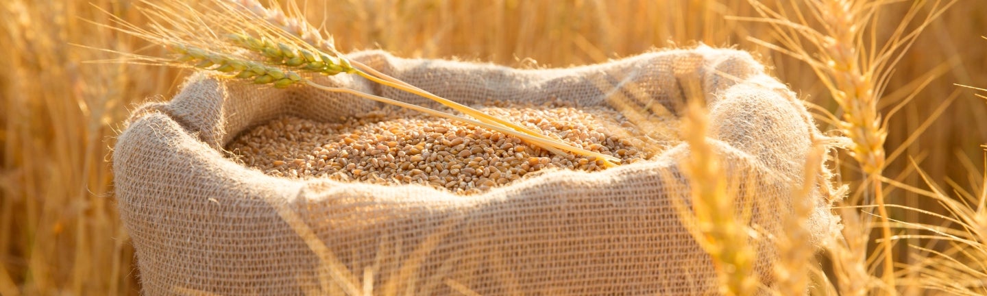 Sack im Feld
