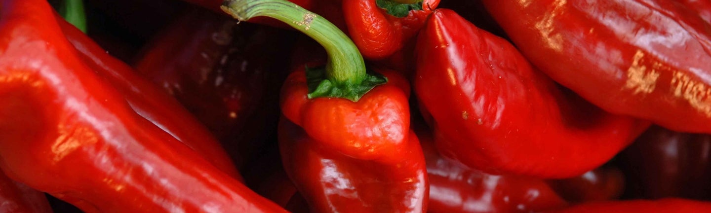 Rote Chilis
