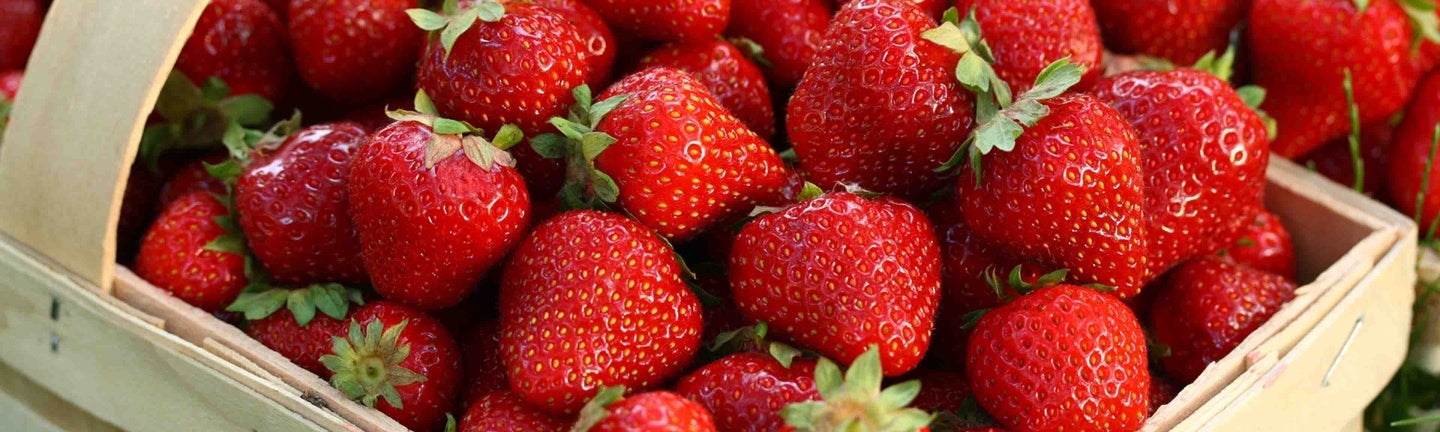 Erdbeeren