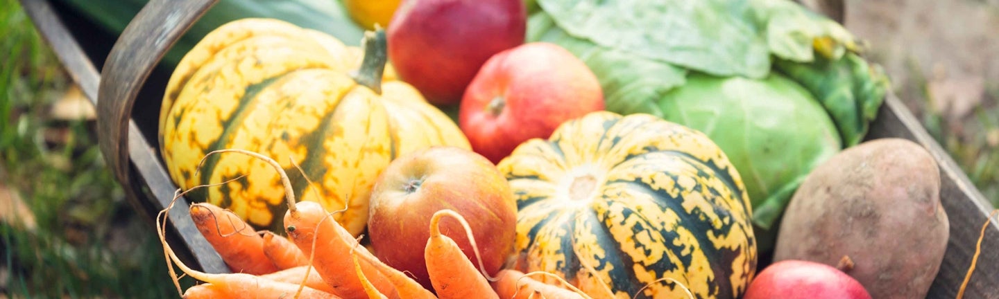 Herbst Gemüse
