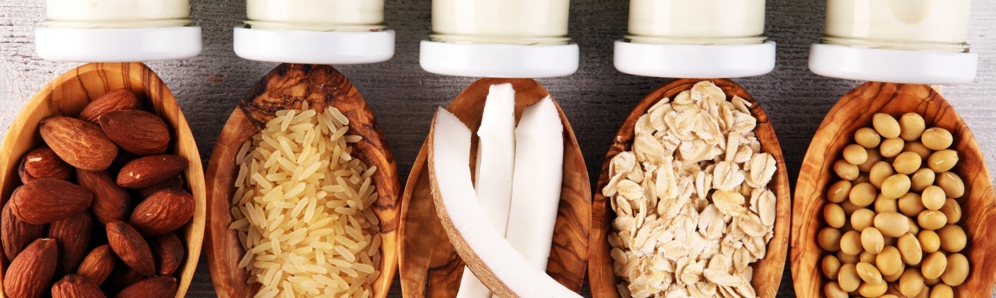 Unterschiedliche Milchalternativen werden dargestellt. Von Reismilch, Kokosmilch bis hin zu Hafermilch.
