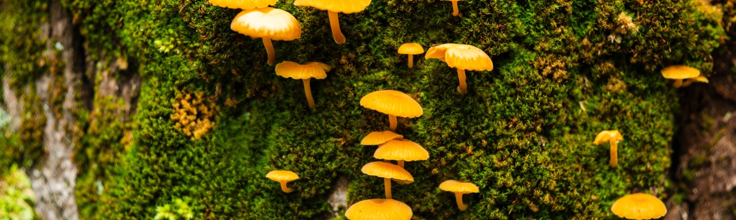 Bild AdobeStock 1540189150