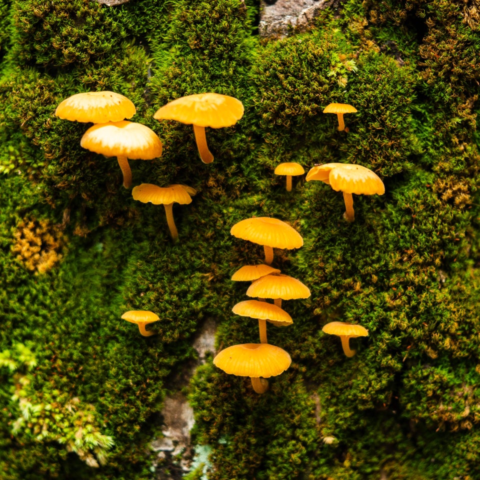 Bild AdobeStock 1540189150